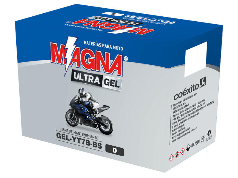 GEL-YT7B-BS