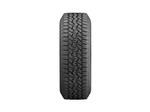 Wrangler-Workhorse----2