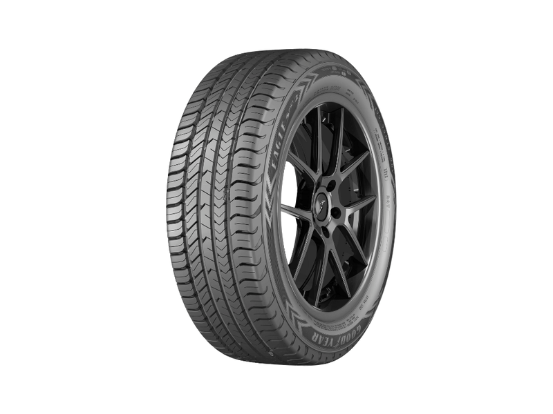 Eagle-Sport-2-XL---1