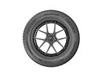 Eagle-Sport-2-XL---3