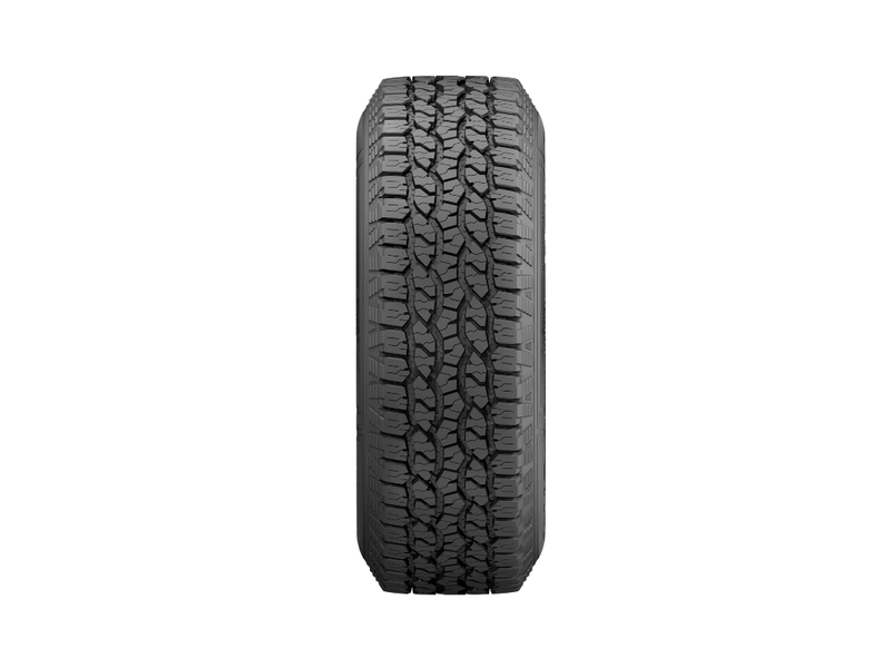 Wrangler-Workhorse--2