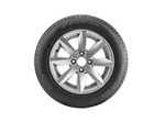 EV-Pirelli----3