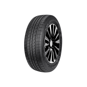 Llanta Auto 235/60R18 PR04 DS01 Doublestar