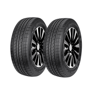 2 Llantas Auto 225/60R17 4PR DS01 Doublestar + VIRTUALCOMBO